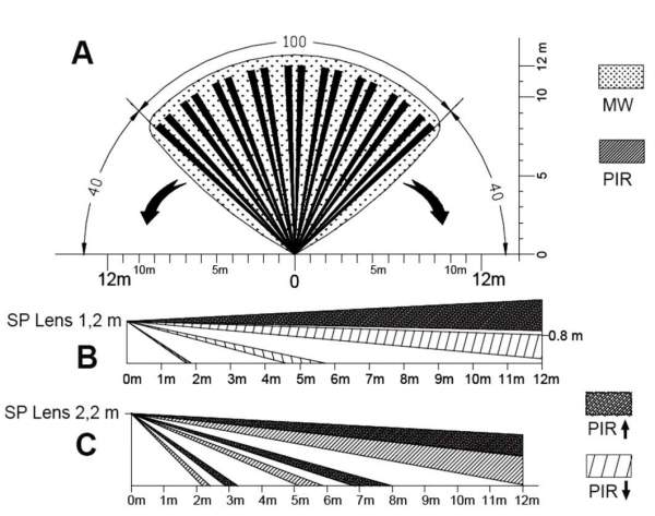 &kappa;&alpha;&lambda;&upsilon;&psi;&eta; AVS Electronics Spectrum DT AM