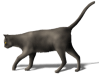 Captcha image 5185