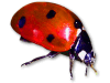 Captcha image 6687